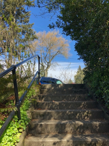 Alameda Ridge stairs